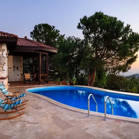 ヴィラ The Regency *